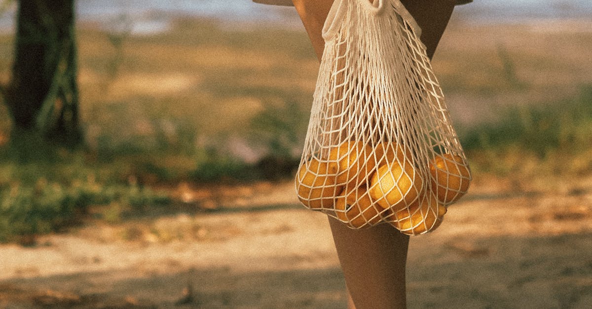 The Anatomy of the Perfect Pickleball Bag: From Paddle Protection to Cooler Compartments